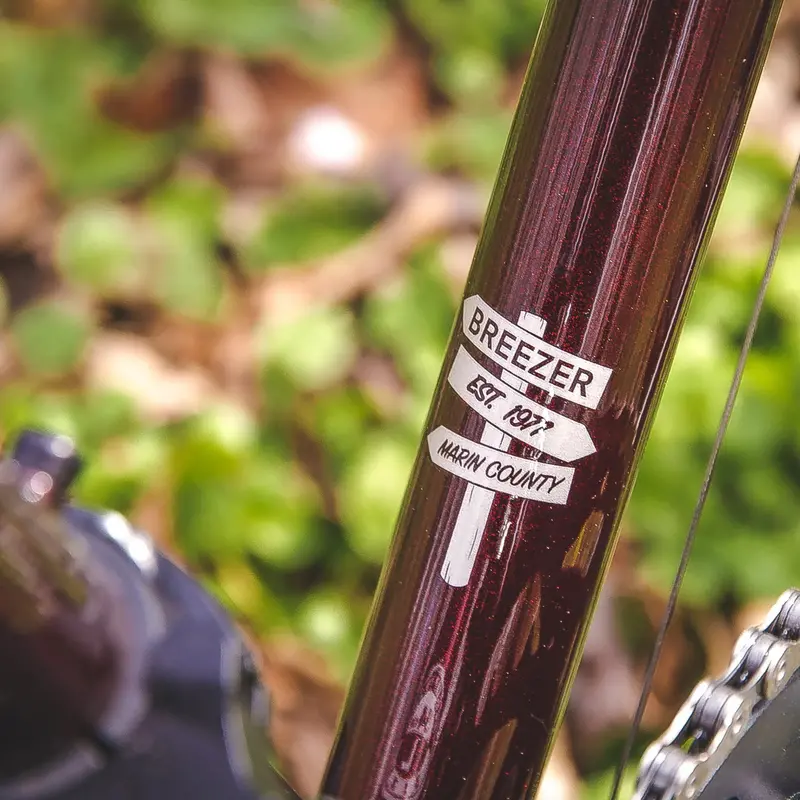 Breezer Radar Expert 700C - Cherry Cola 4