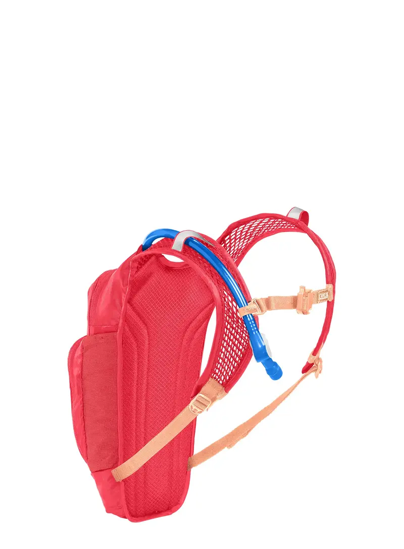 Camelbak Mini M.U.L.E. Hydration Pack - 50Oz - Pink-Flowers 2
