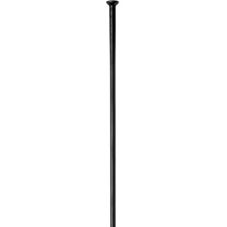 Dt Swiss Champion Straight Pull Spokes - Black 1