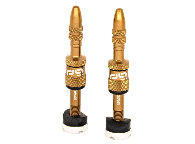 E Thirteen Schrader Quickfill Tubeless Valves Gen2 - 16-24Mm Depth - Bronze 1