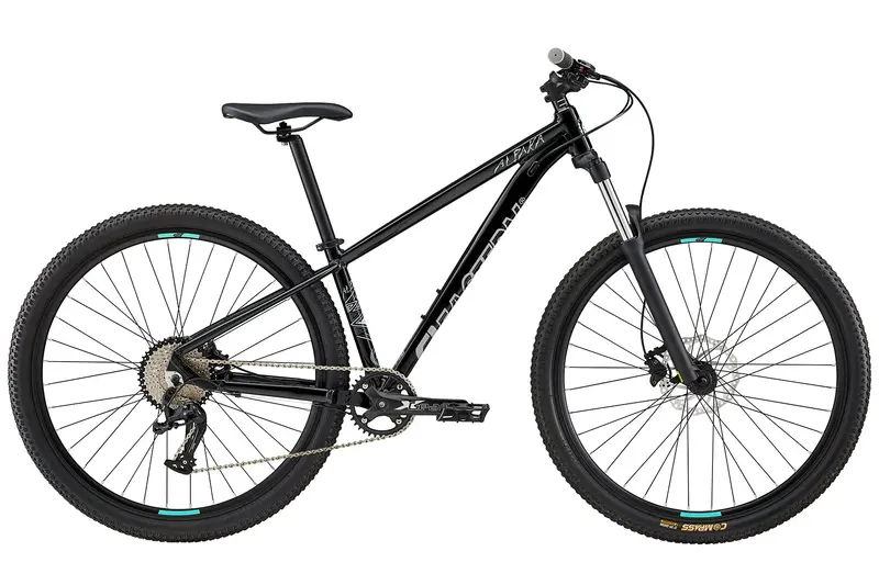 Eastern Alpaka 29 Mtb Hardtail Bike - Black 2