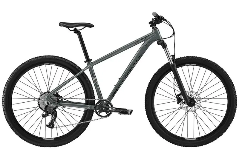 Eastern Alpaka 29 Mtb Hardtail Bike - Gray 1
