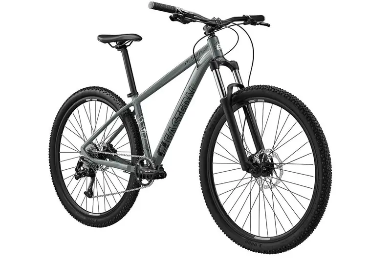 Eastern Alpaka 29 Mtb Hardtail Bike - Gray 3