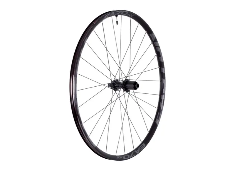 Easton Ea70 Ax 700C Disc Wheel - Rear - Black 1
