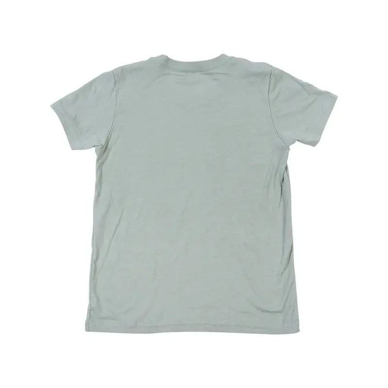 Fasthouse Peachy Keen Tee - Youth - Heather Blue 2