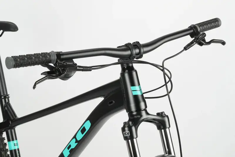 Haro Double Peak 3 29" - Matte Black-Teal 4