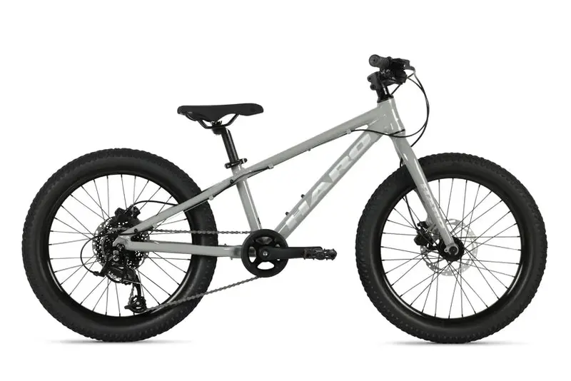 Haro Flightline 20" Plus Disc Kids Bike - Cool Gray 1