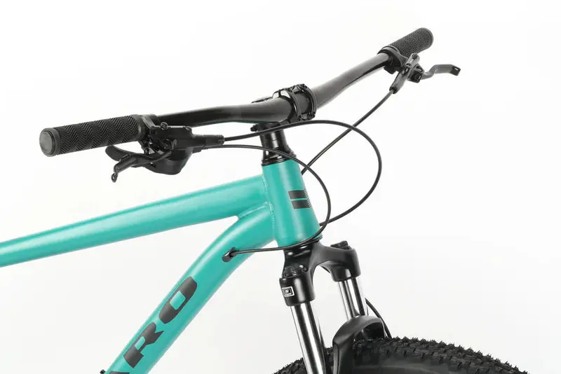 Haro Flightline Ltd 29" - Matte Green-Black 2