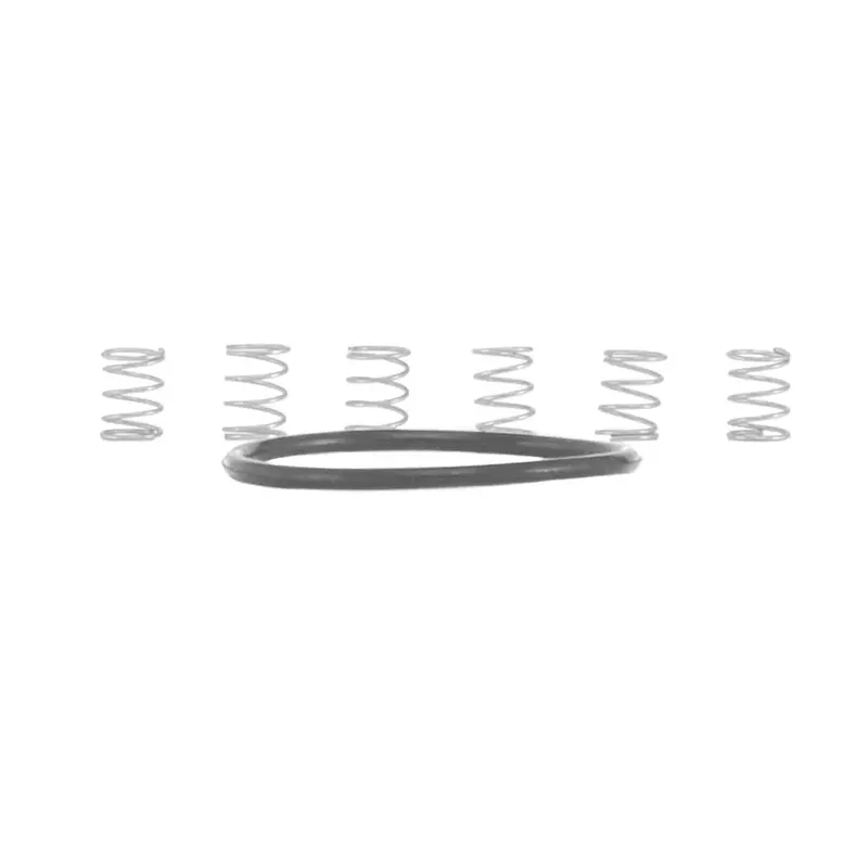 Industry Nine Torch Hub Pawl Spring Kit 1