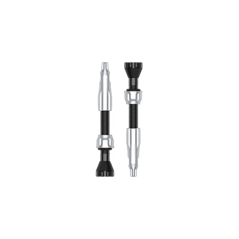 Lezyne Cnc Tlr Tubeless Valves - Silver 1