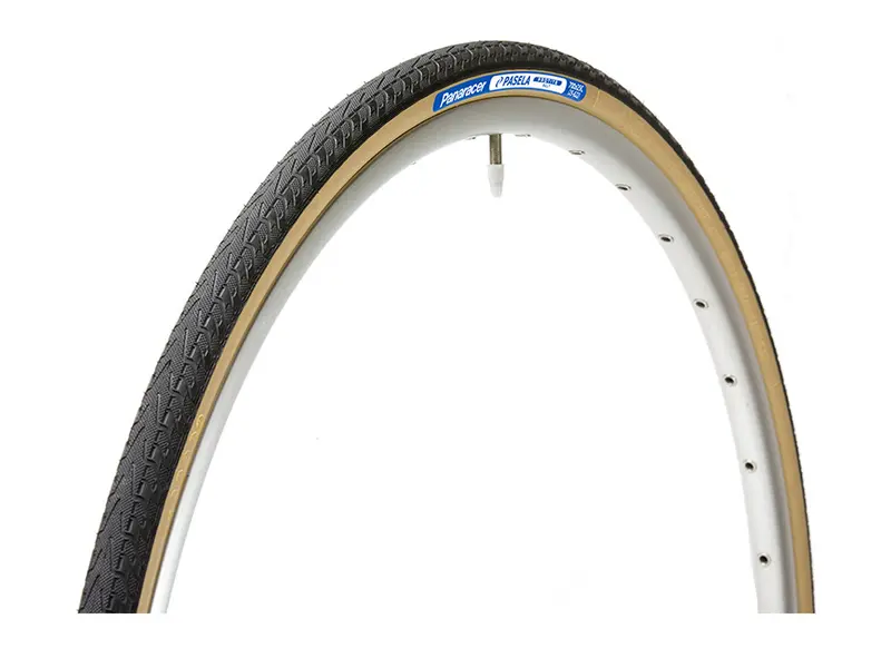 Panaracer Pasela Protite 27" Touring Tire 1