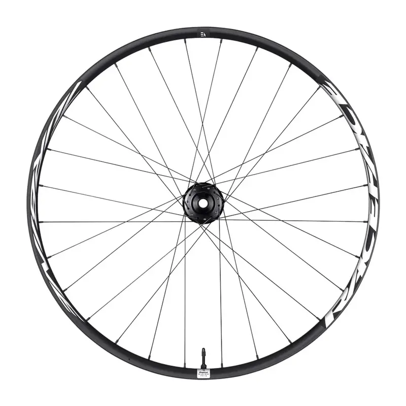 Race Face Turbine 30 29" Emtb Wheel - Front 1