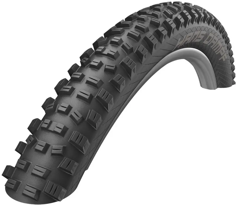Schwalbe Hans Dampf Performance 26" Folding Mtb Tire - Addix 1