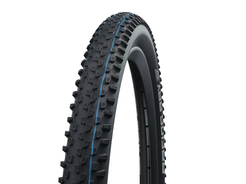 Schwalbe Racing Ray Evolution 29" Folding Mtb Tire - Speedgrip - Snakeskin 1