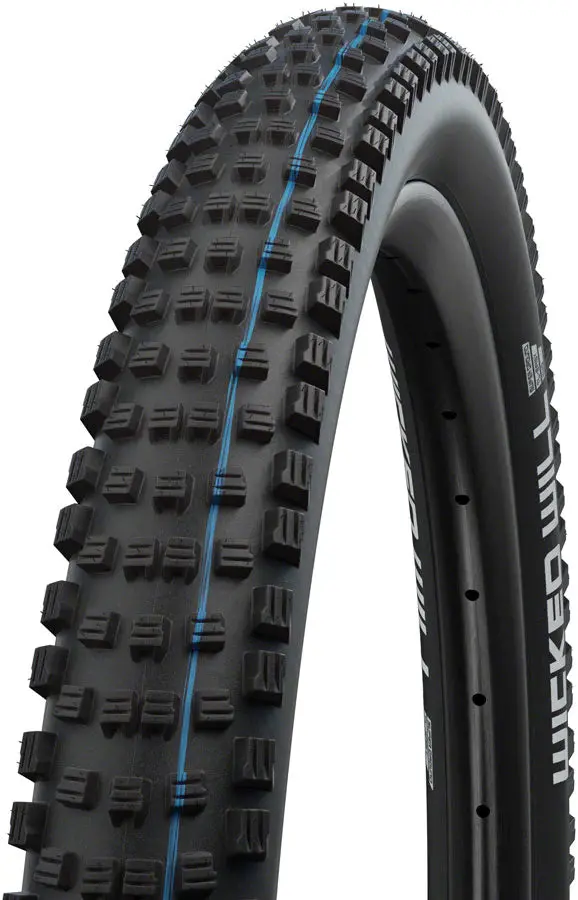 Schwalbe Wicked Will Evo 29" Folding Mtb Tire 1