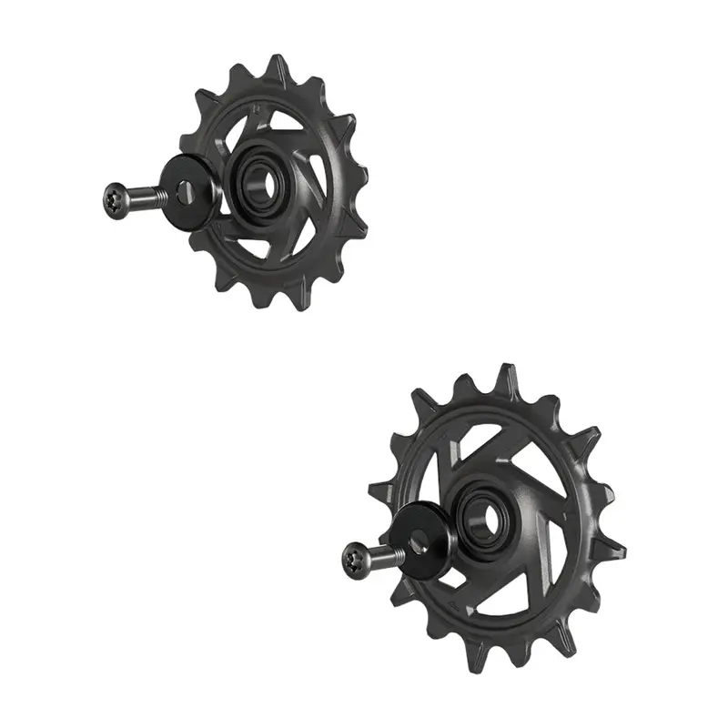 Sram Eagle 90/70 T-Type Rear Pulley Kit 1