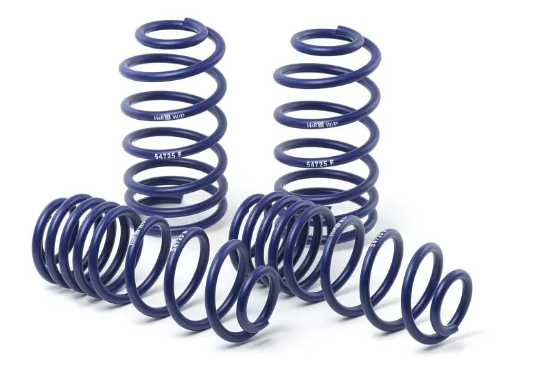 H&R Sport Lowering Springs For 1998–2002 Lexus Rx300 (Xu1 Platform) 1